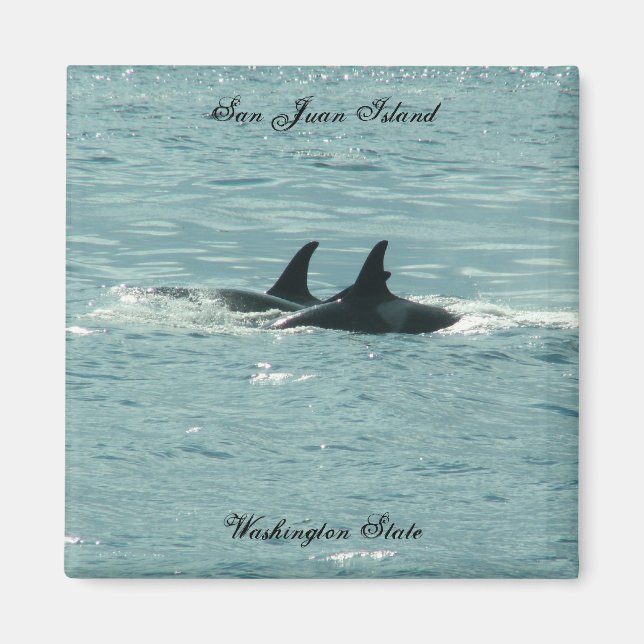 Orcas! Magnet (Front)