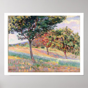 Orchard at St. Cheron, 1893 (oil on canvas) Poster