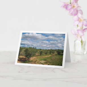 Orchard Cloud Landscape Card
