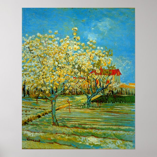 Orchard en fleurs par Vincent van Gogh Poster (Devant)