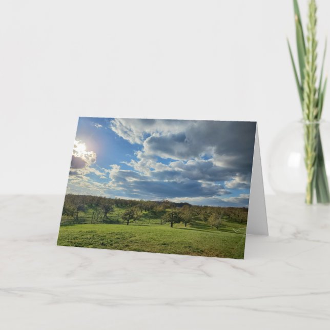 Orchard Folded Greeting Card (Front)
