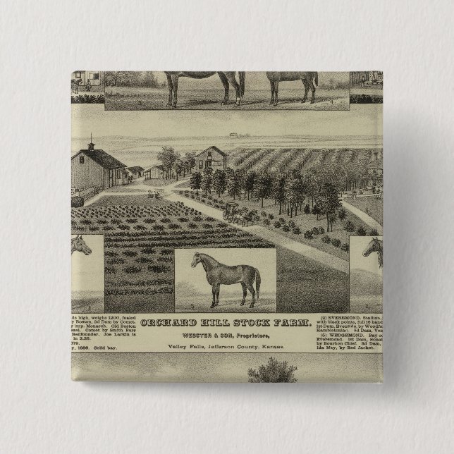 Orchard Hill and Cedar Grove, Kansas 2 Inch Square Button (Front)