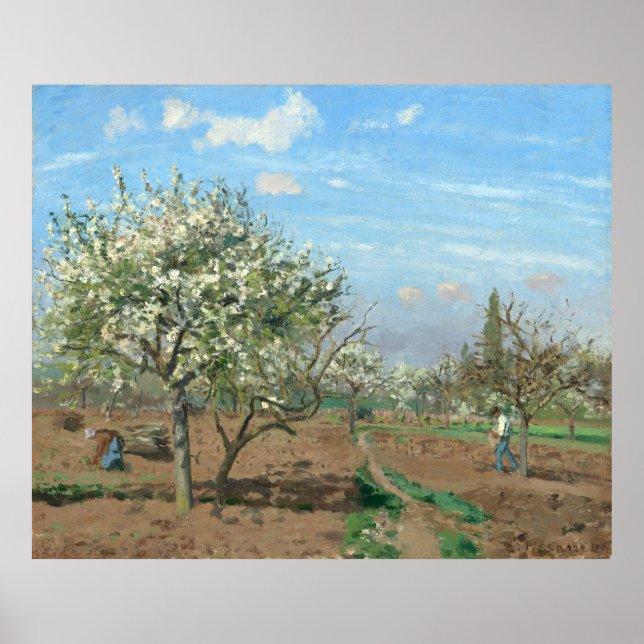 Orchard in Bloom, Louveciennes  Camille Pissarro   Poster (Front)