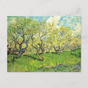 Orchard in Blossom by Vincent van Gogh Postcard