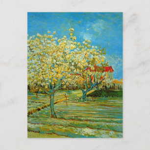 Orchard in Blossom by Vincent van Gogh Postcard