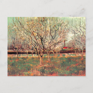 Orchard in Blossom, Plum Trees by Vincent van Gogh Postcard