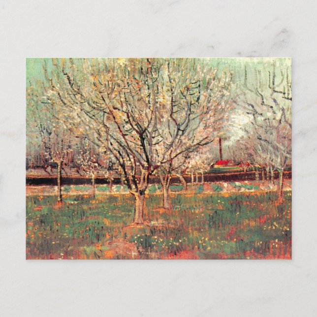 Orchard in Blossom, Plum Trees by Vincent van Gogh Postcard (Front)