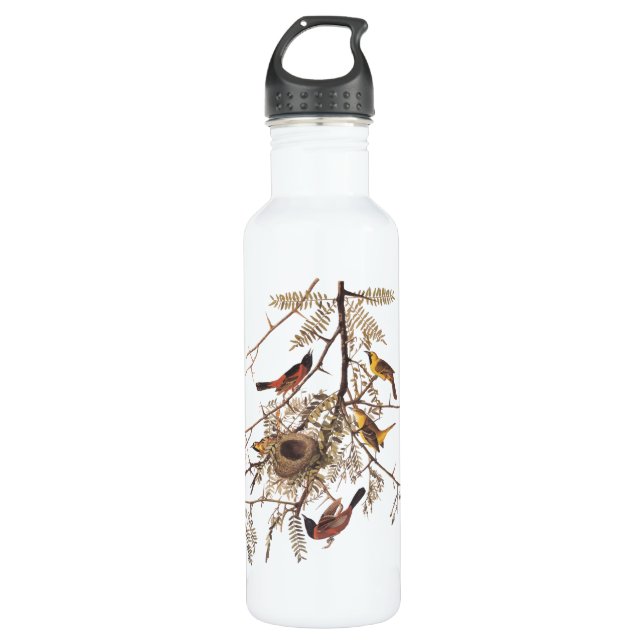 Orchard Oriole Birds with Nest Audubon 710 Ml Water Bottle (Front)