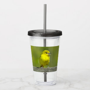 Orchard Oriole - Original Photograph Acrylic Tumbler