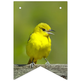 Orchard Oriole - Original Photograph Bunting Flags
