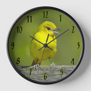 Orchard Oriole - Original Photograph Clock