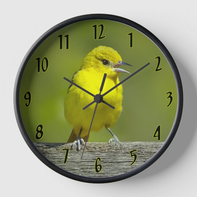 Orchard Oriole - Original Photograph Clock (Front)