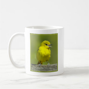Orchard Oriole - Original Photograph Coffee Mug