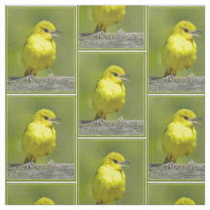 Orchard Oriole - Original Photograph Fabric