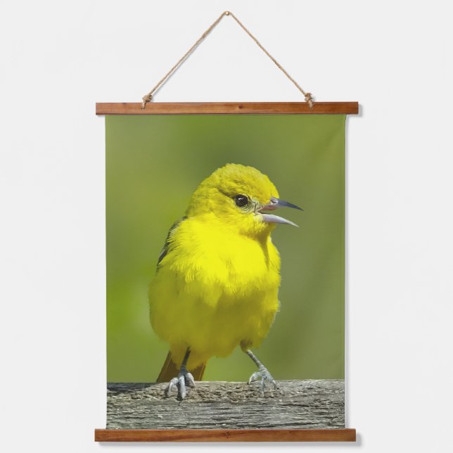 Orchard Oriole - Original Photograph Hanging Tapestry (Front)