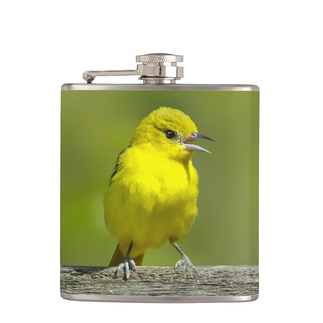 Orchard Oriole - Original Photograph Hip Flask (Front)