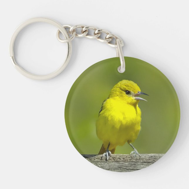 Orchard Oriole - Original Photograph Keychain (Front)