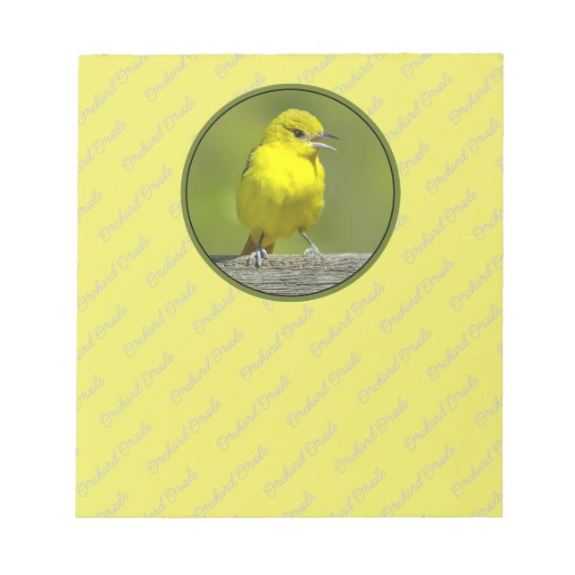 Orchard Oriole - Original Photograph Notepad (Front)