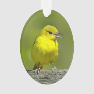Orchard Oriole - Original Photograph Ornament