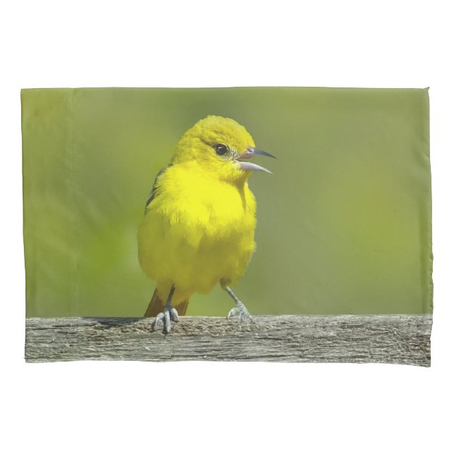 Orchard Oriole - Original Photograph Pillowcase (Front)