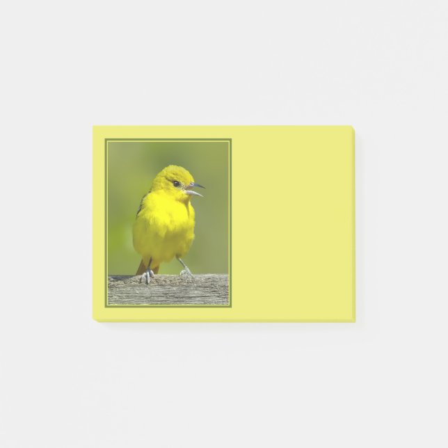 Orchard Oriole - Original Photograph Post-it Notes (Front)