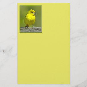 Orchard Oriole - Original Photograph Stationery