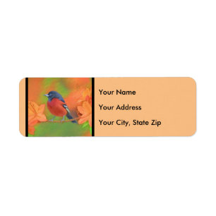 Orchard Oriole Songbird Painting Original Bird Art
