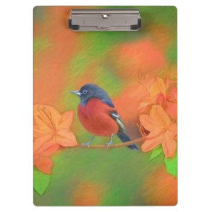 Orchard Oriole Songbird Painting Original Bird Art Clipboard