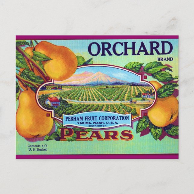 Orchard Pears Postcard (Front)