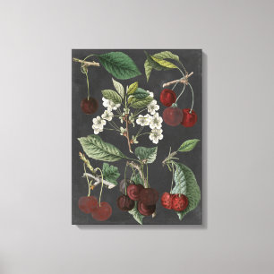 Orchard Varieties I Canvas Print