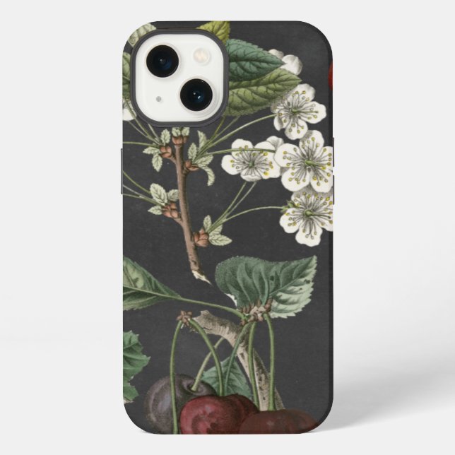 Orchard Varieties I iPhone Case (Back)