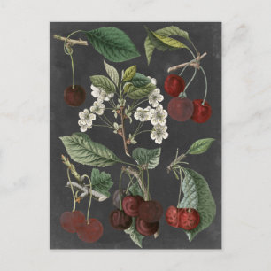 Orchard Varieties I Postcard