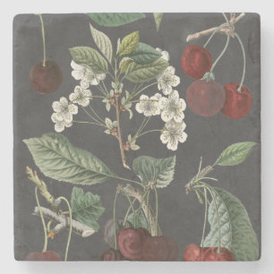 Orchard Varieties I Stone Coaster