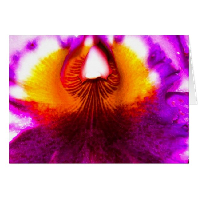 Orchid (Front Horizontal)