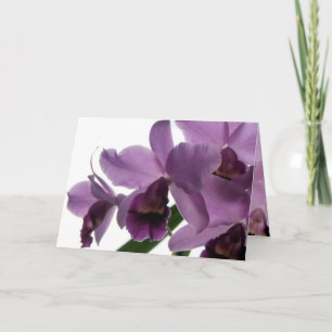 Orchid 1 All-Purpose Greeting/Invitation Card