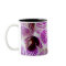 Orchid 9