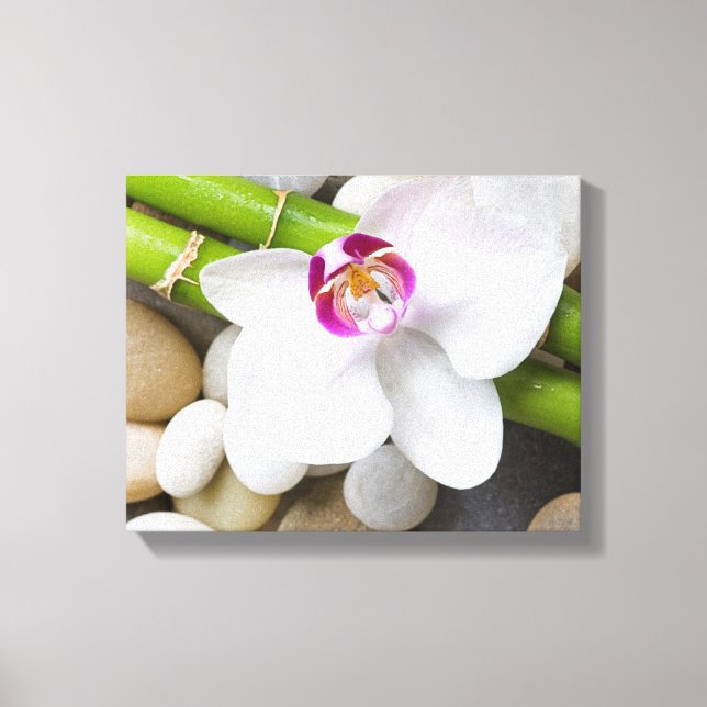 orchid and Bamboo Canvas Print (Front)