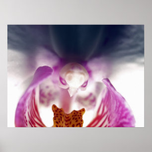 Orchid Apparition Poster