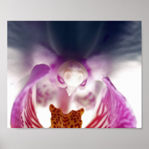 Orchid Apparition Poster