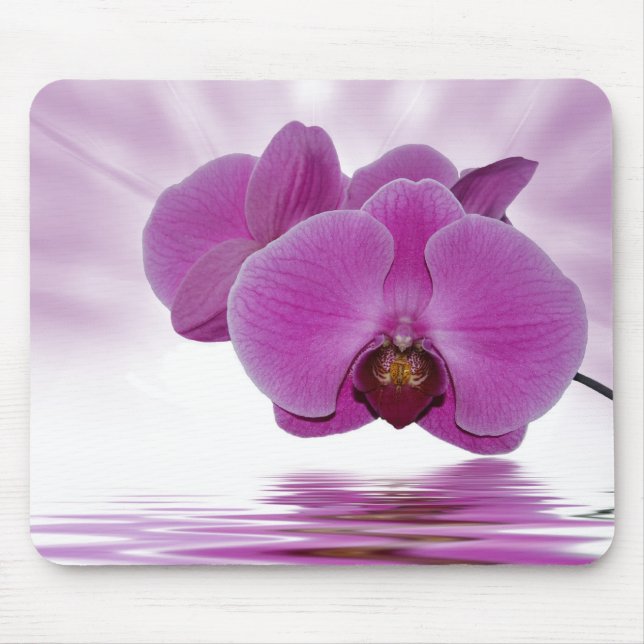Orchid Aurora Mouse Pad (Front)