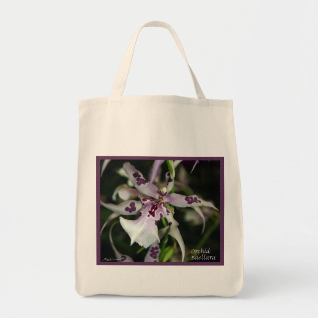 Orchid Beallara Bags (Front)