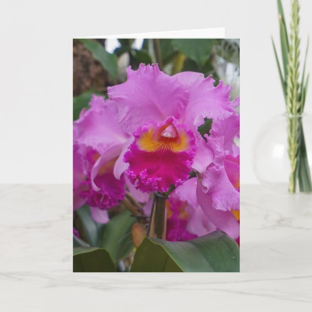 Orchid Beauty Card (Front)