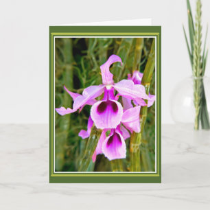 Orchid Birthday Card