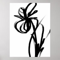 Orchid Blanc: Abstract White & Black