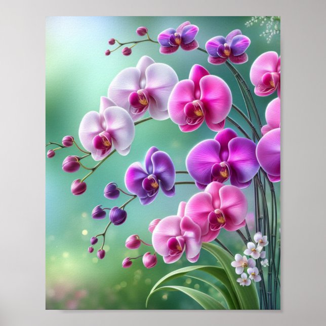 Orchid Bliss poster (Front)