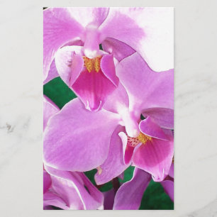Orchid blooms closeup in pink stationery
