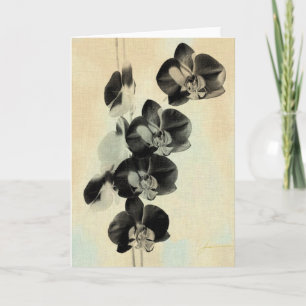 Orchid Blush Panels III Card