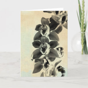 Orchid Blush Panels IV Card