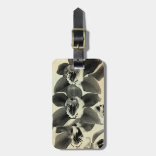 Orchid Blush Panels IV Luggage Tag