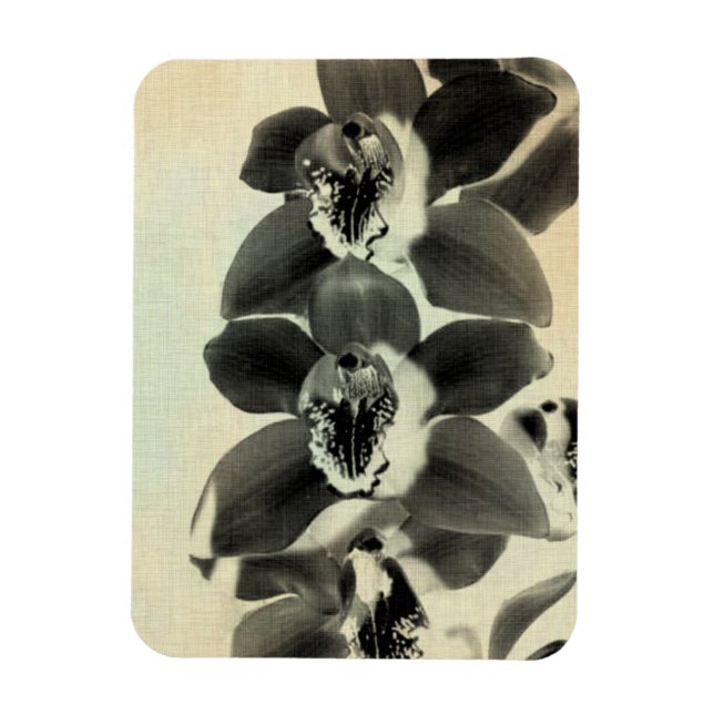Orchid Blush Panels IV Magnet (Vertical)